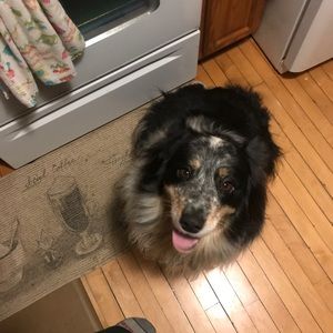 Meet your Posher, Loni